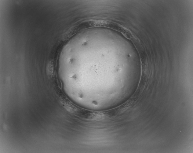 X0000073980715200609111808