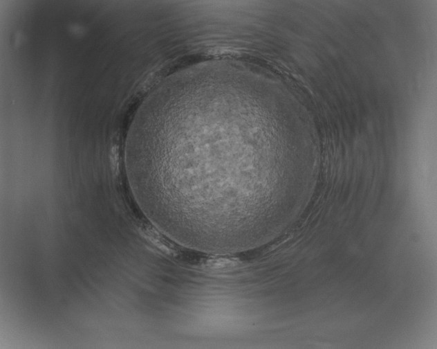 X0000073980716200609111808