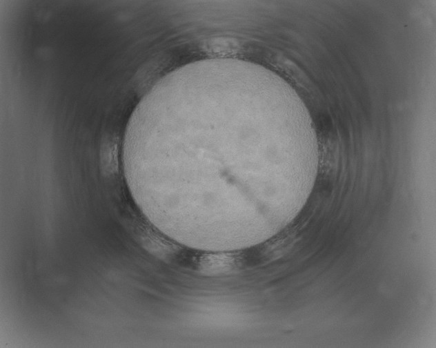 X0000073980717200609111808