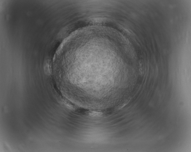 X0000073980718200609111808