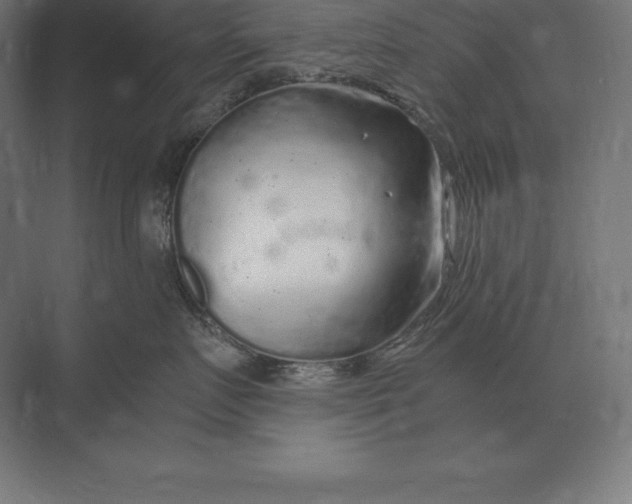 X0000073980719200609111808