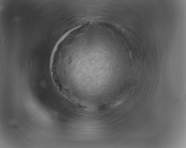 X0000073980720200609111808