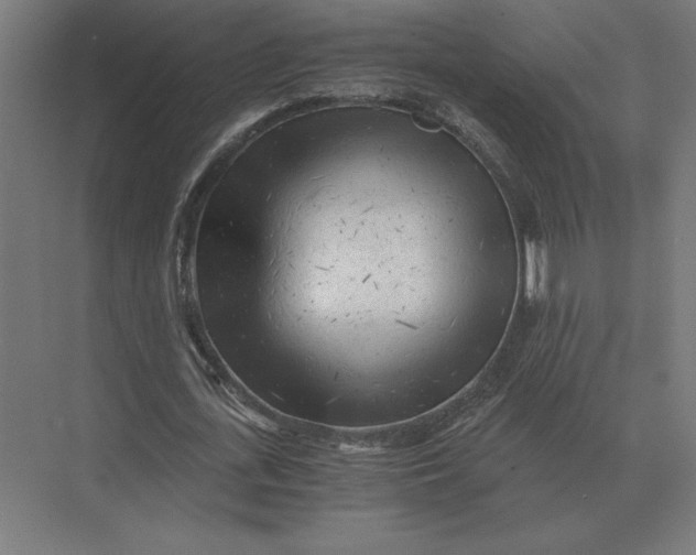 X0000073980723200609111807