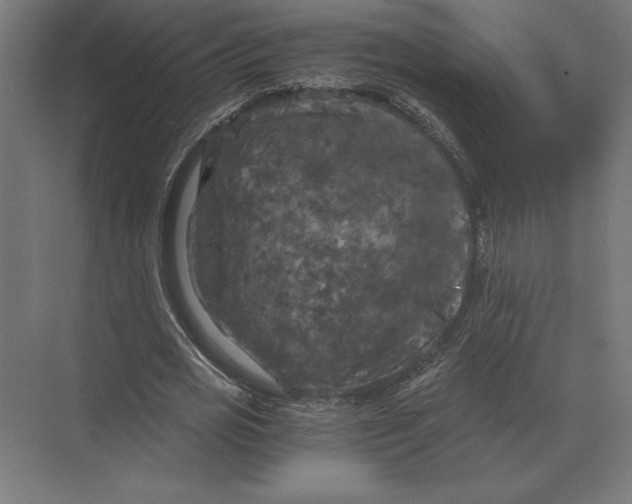 X0000073980725200609111807