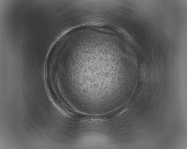 X0000073980726200609111807