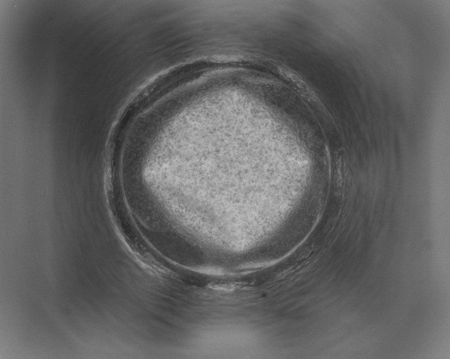 X0000073980728200609111807