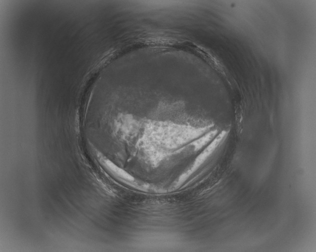 X0000073980729200609111807