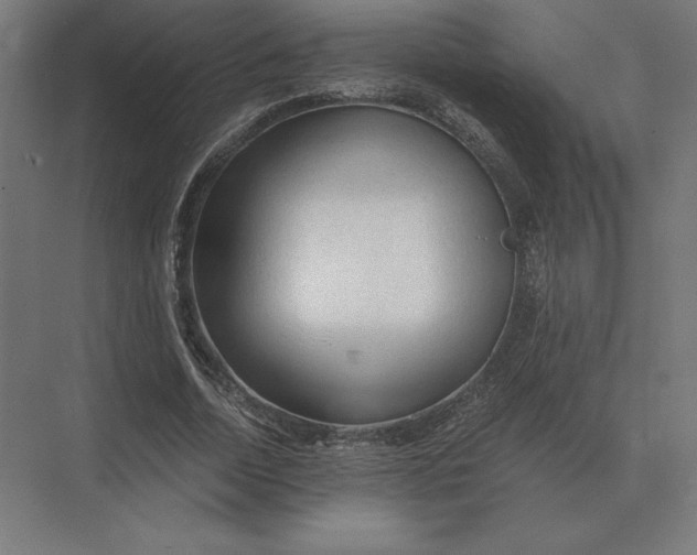 X0000073980730200609111807