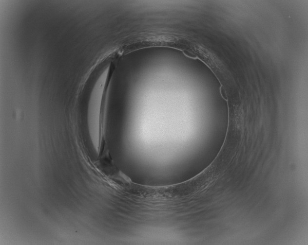 X0000073980731200609111807