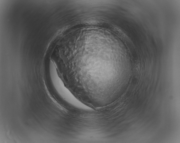 X0000073980734200609111807