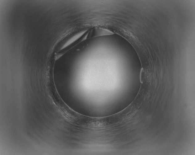 X0000073980735200609111807