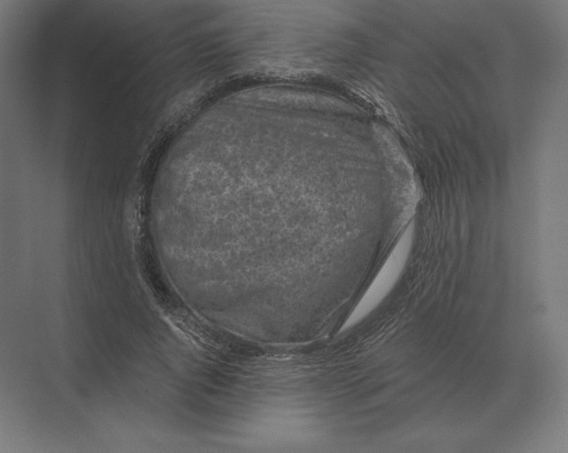 X0000073980736200609111807