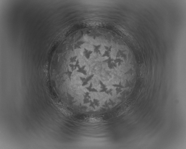 X0000073980737200609111807