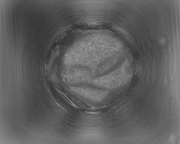 X0000073980740200609111807