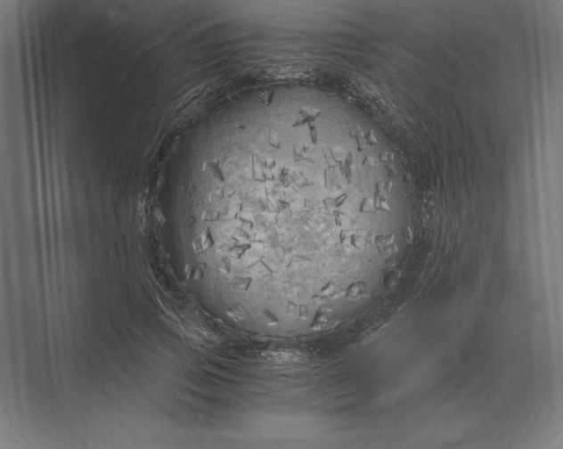 X0000073980741200609111807