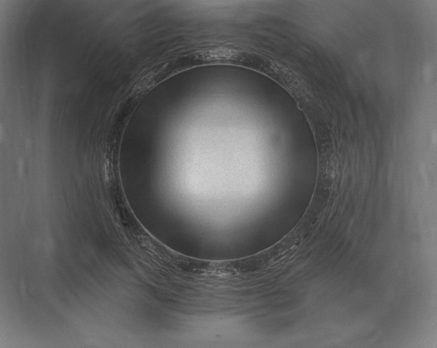 X0000073980743200609111807