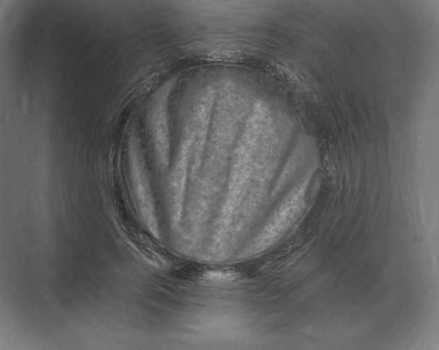 X0000073980744200609111807