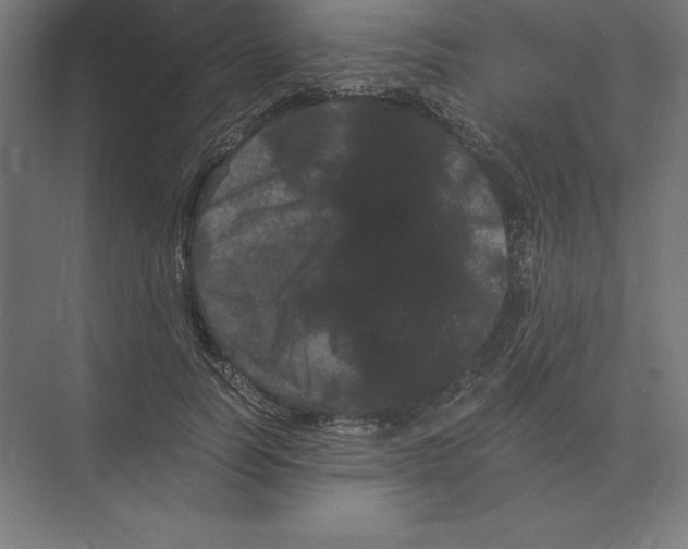 X0000073980746200609111807