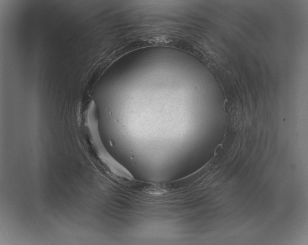 X0000073980747200609111807