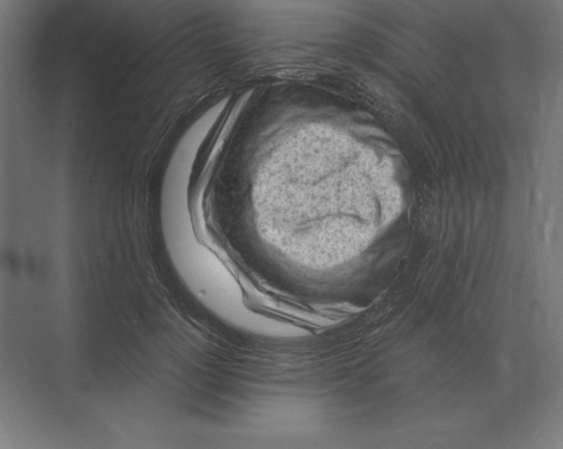 X0000073980748200609111807