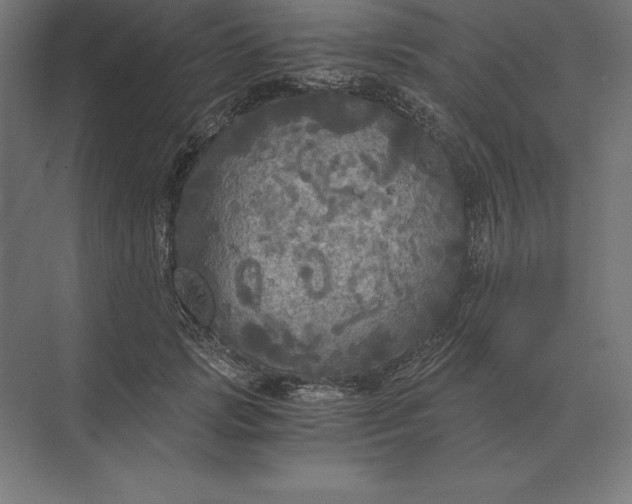 X0000073980749200609111807