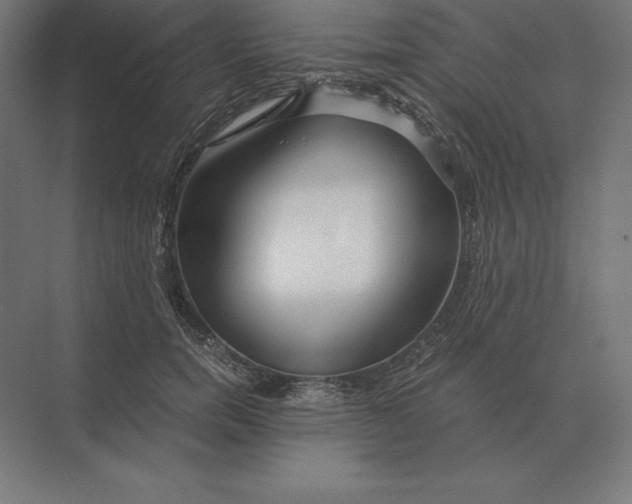 X0000073980750200609111807