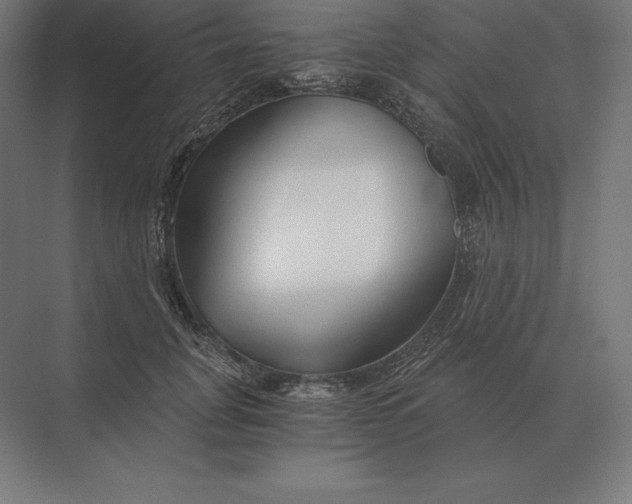 X0000073980751200609111807