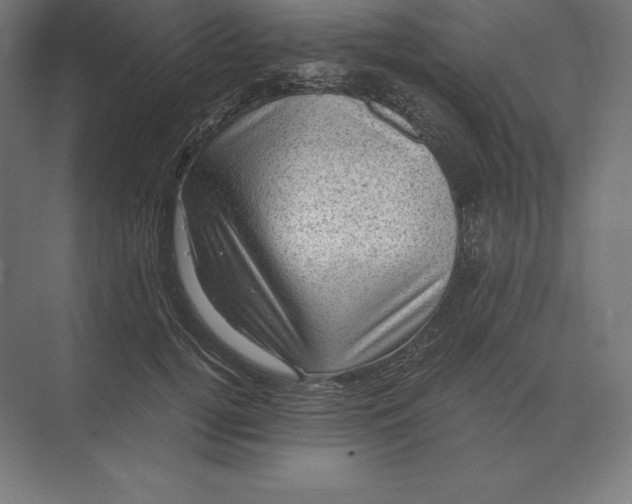 X0000073980752200609111807