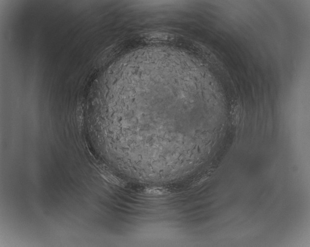 X0000073980753200609111807