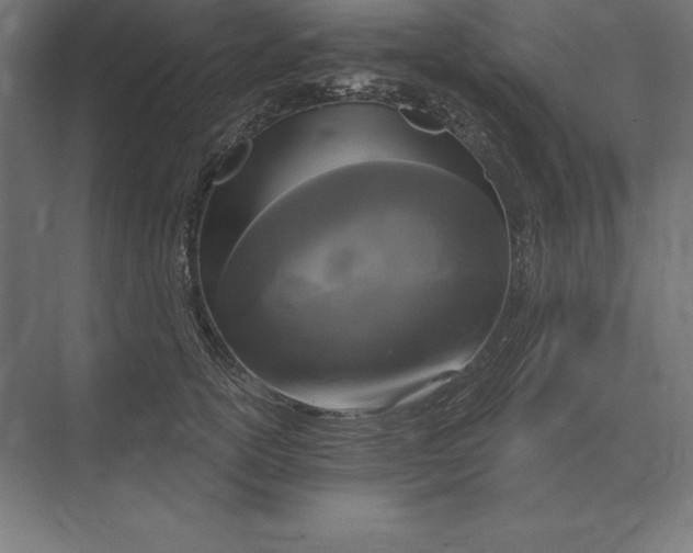 X0000073980754200609111807