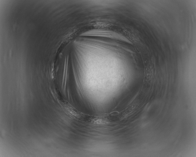 X0000073980755200609111807