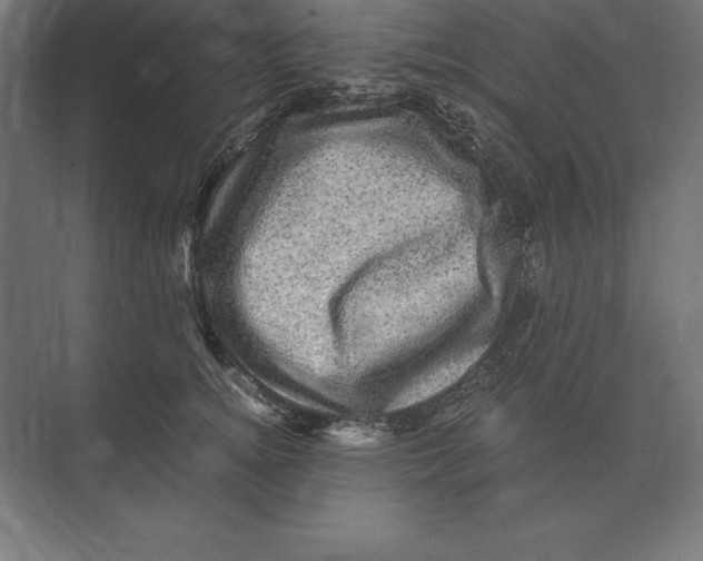 X0000073980756200609111807