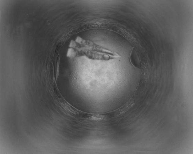 X0000073980758200609111807