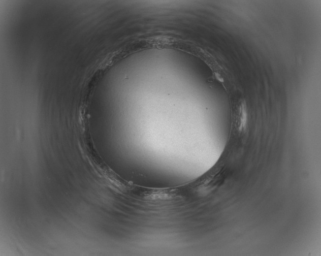 X0000073980759200609111807