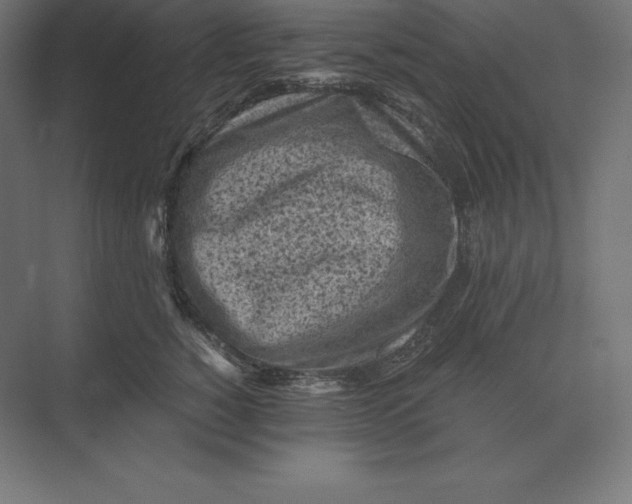 X0000073980760200609111807