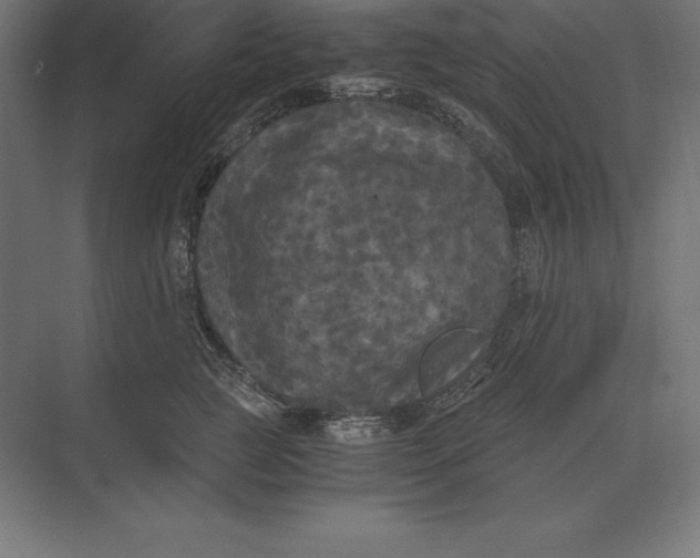 X0000073980761200609111807