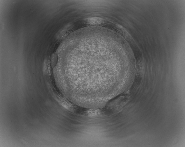 X0000073980762200609111808