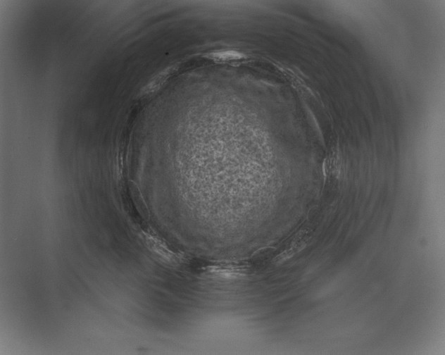 X0000073980763200609111808