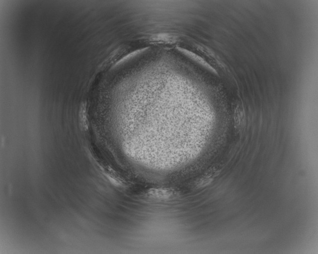 X0000073980764200609111808