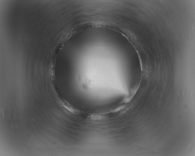 X0000073980766200609111808