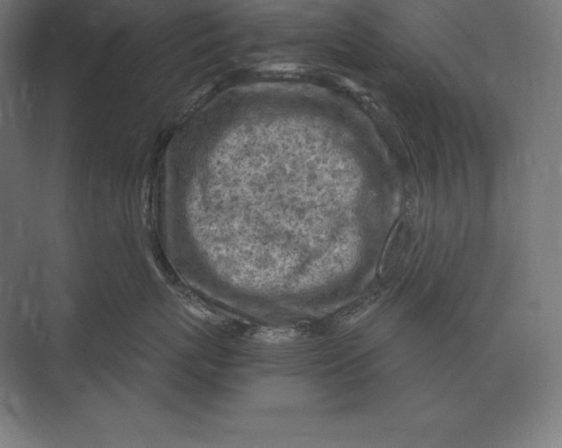 X0000073980767200609111808