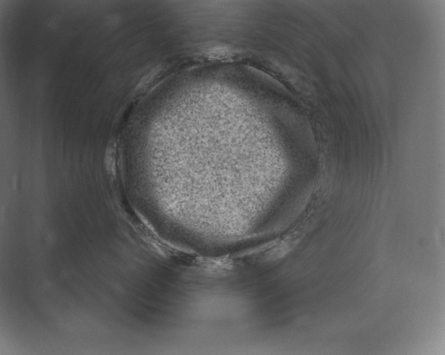 X0000073980768200609111808