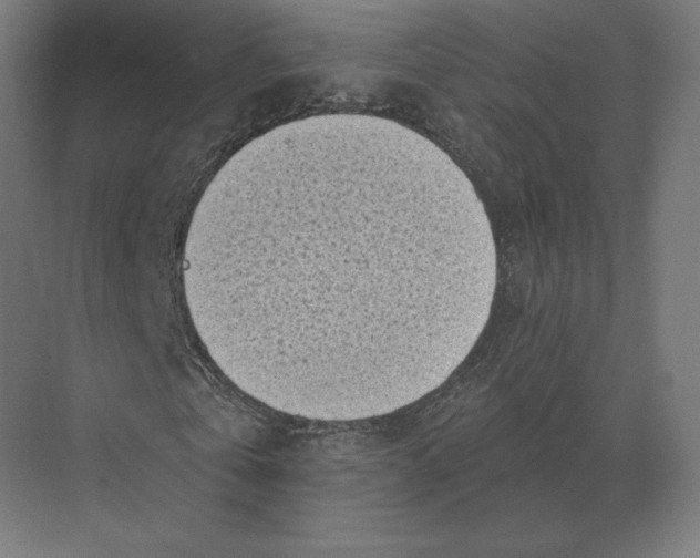 X0000073980769200609111807