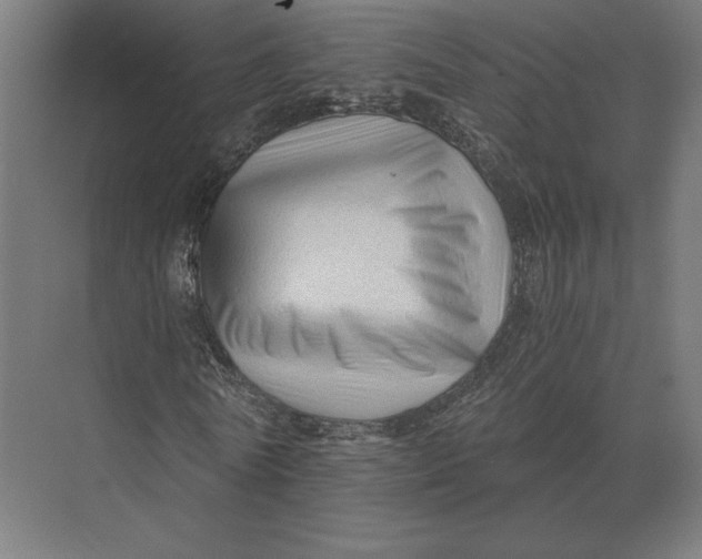 X0000073980770200609111807