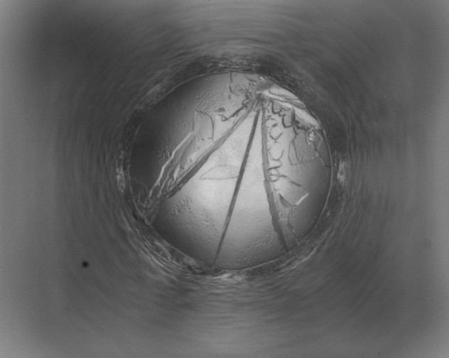 X0000073980771200609111807