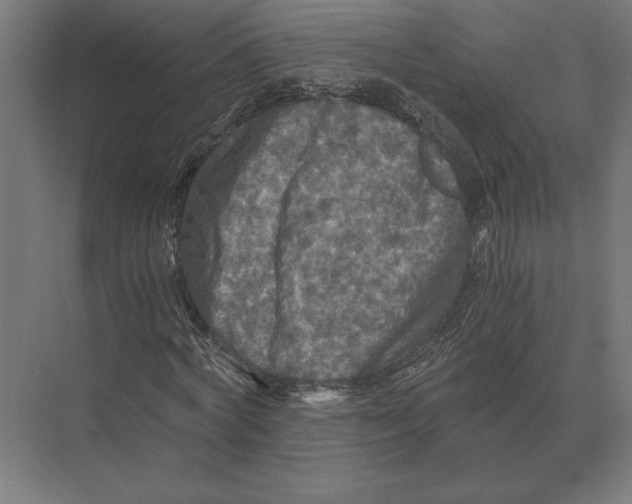 X0000073980772200609111807