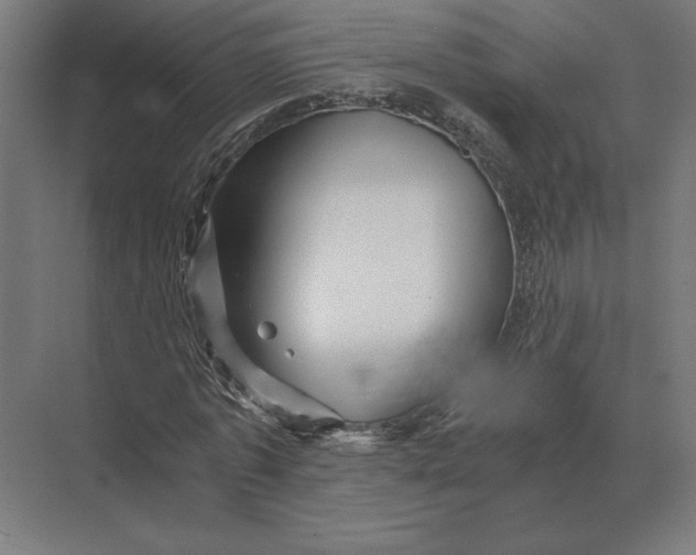 X0000073980773200609111807