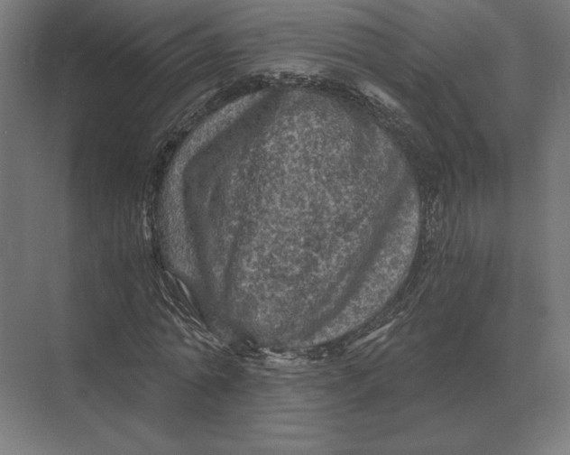 X0000073980774200609111807