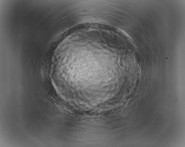 X0000073980775200609111807