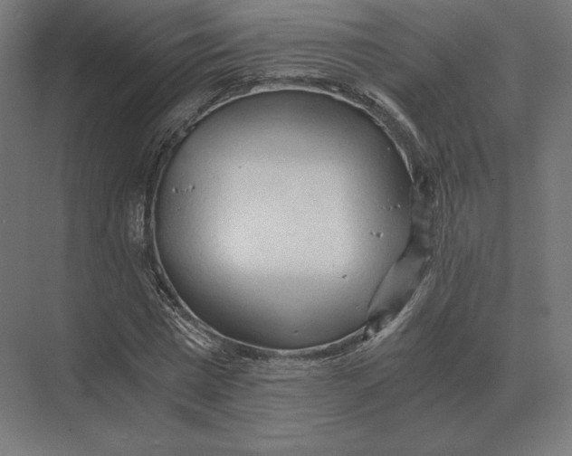 X0000073980777200609111807